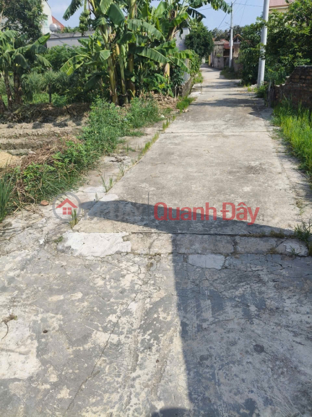Land for sale in Luong Tai, Bac Ninh. 93m2 * frontage 5m * 1.25 billion. Car access to land. Sales Listings