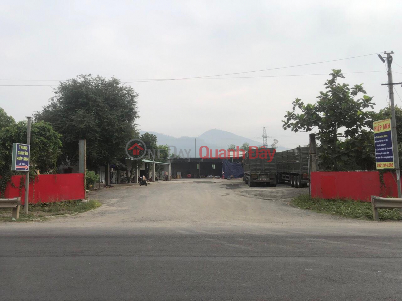 INVEST - PROFIT - FACTORY FOR LEASE Nam Hai Van Road (Near Hoang Van Thai) Rental Listings