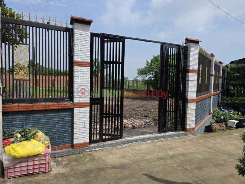 Bán đất đẹp xã Xuân Thới Sơn, Huyện Hóc Môn - Diện tích lớn, đất thổ cư, tặng thêm đất vườn Niêm yết bán