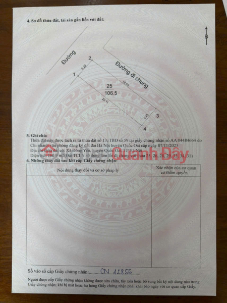 For just around 2 billion VND - Own a plot of land in the center of Dong Ha village, Phu Cat - with full amenities. Vietnam, Sales, đ 2.4 Billion