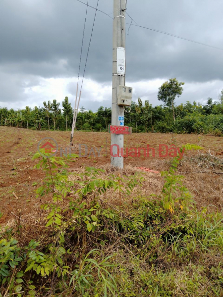 đ 200 Million | OWNER Urgently Needs To Sell Land Plot Prime Location In Bu Dop District, Binh Phuoc