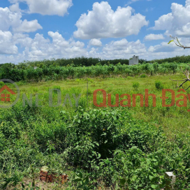 OWNER Needs To Quickly Sell A Plot Of Land In A Beautiful Location In An Co Commune, Chau Thanh District, Tay Ninh Province _0