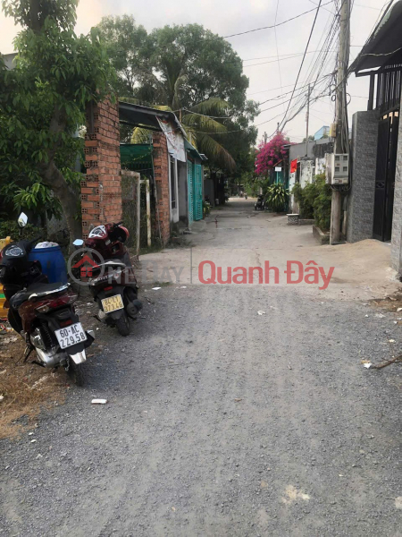 PRIME LAND – GREAT PRICE – URGENT SALE in An Hoa Commune (formerly Bien Hoa City),Dong Nai Province | Vietnam, Sales | đ 580 Million