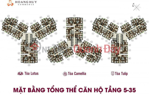 Hoang Huy Commerce luxury project, Vo Nguyen Giap street, Le Chan, Hai Phong\/ 0909.369.275 _0