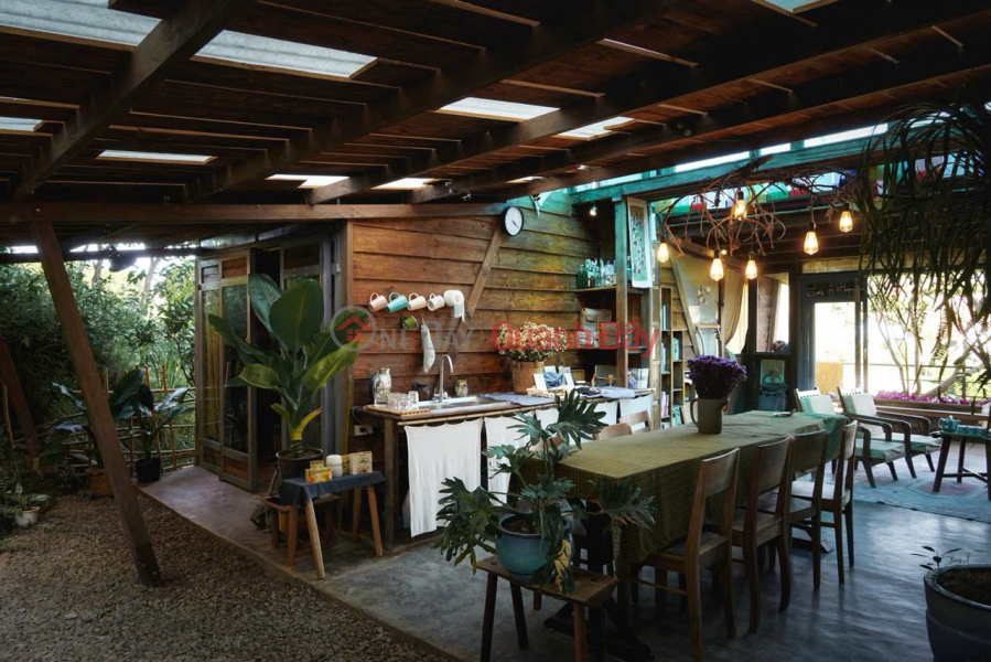 Super chill house for rent on Hoang Hoa Tham street, Da Lat, Lam Dong, for only 15 million VND. Rental Listings