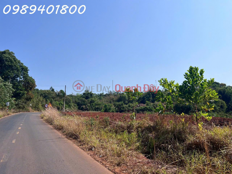 Property Search Vietnam | OneDay | Residential, Sales Listings Prime property - Land with frontage on National Highway 28, Quang Khe Town, area 1000m2, investment price.