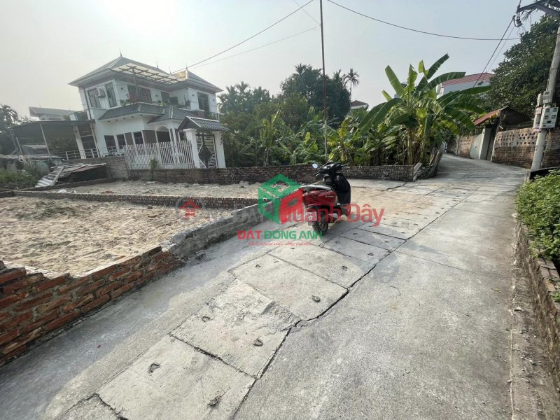 Land for sale in Co Duong, Tien Duong, 2 sides, split alley, extremely beautiful | Vietnam | Sales, đ 5.83 Billion