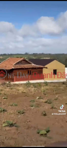 HOT HOT – OWNER NEEDS TO SELL LAND IN PHU XUAN COMMUNE, KRONG NANG DISTRICT, DAK LAK PROVINCE Sales Listings