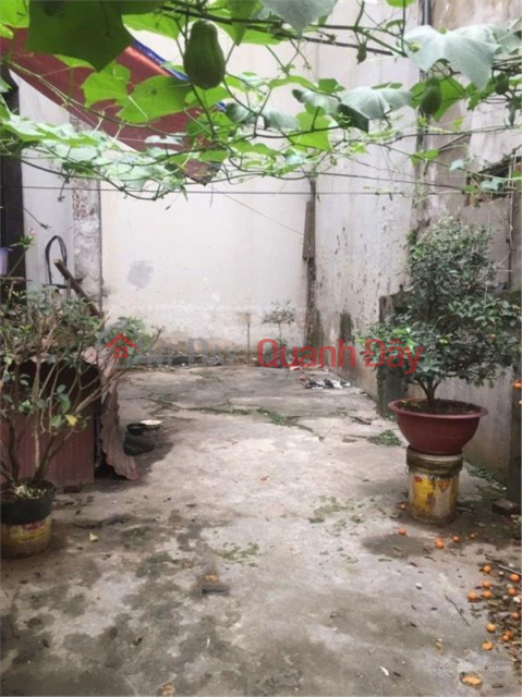 BEAUTIFUL LAND - GOOD PRICE - OWNER QUICK SELLING LOT OF LAND IN Thanh Tri, Hanoi _0