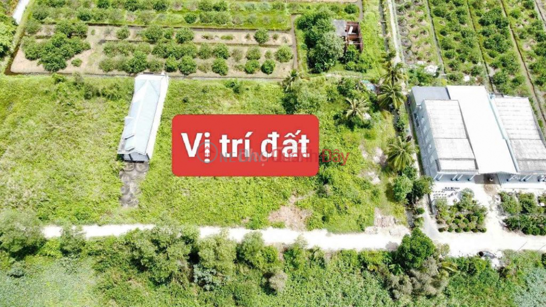 Property Search Vietnam | OneDay | Residential | Sales Listings Land for sale to build a garden house, homestay, or factory - 1000m2 residential land - Ownership certificate available - Car access road - Good price