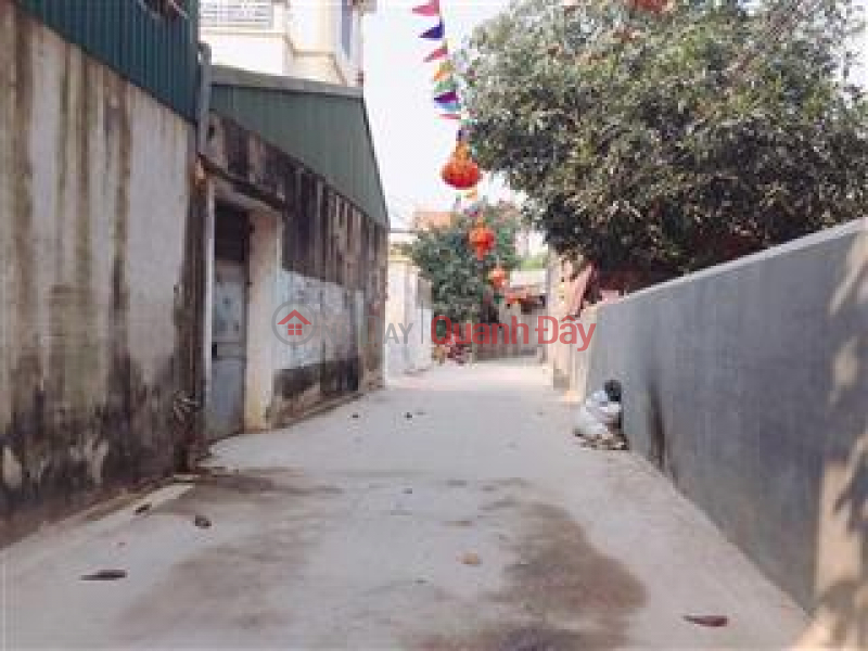 Property Search Vietnam | OneDay | Residential | Sales Listings | Residential land for sale, red book by owner, Khanh Ha commune, Thuong Tin district.