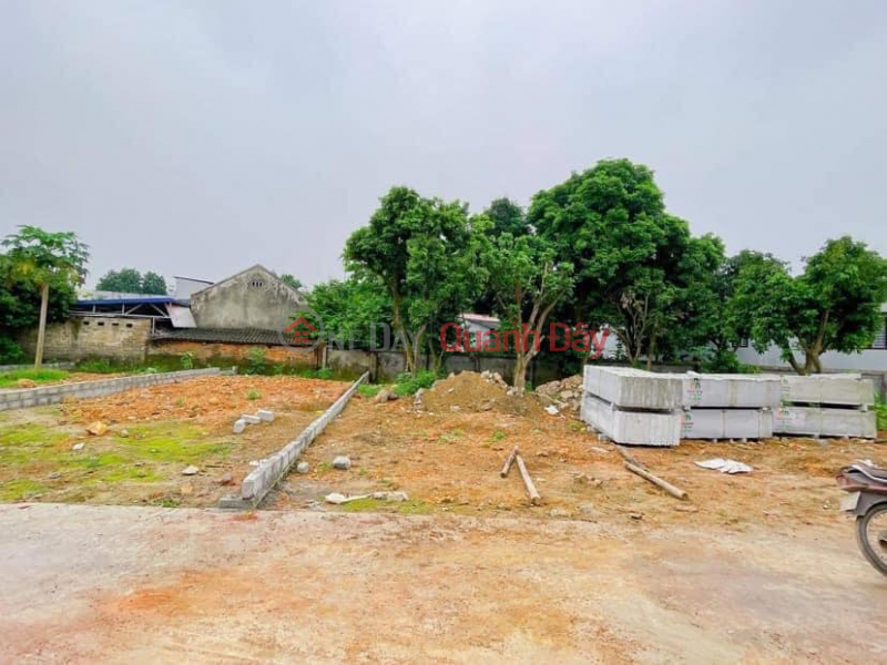 Property Search Vietnam | OneDay | , Sales Listings | The land is hilly land, airy, fresh air