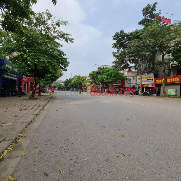 Land in Dong Du, Gia Lam, Hanoi. Area 91m2. Frontage 6m, road 15m2, airy. Contact 0989894845 Vietnam Sales, đ 11.0 Billion