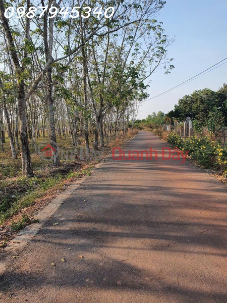 Bán đất đường Lò Rèn, Long Hòa, 4,5tr/m2, 3100m2 view đẹp Hot!, Việt Nam Bán, đ 13,95 tỷ
