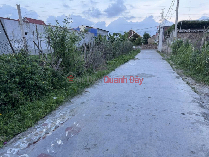 Chính chủ bán lô đất 60m2 tại Hoàng Lâu, Hồng Phong, An Dương, Hải Phòng - Giá 1,66 tỷ Niêm yết bán
