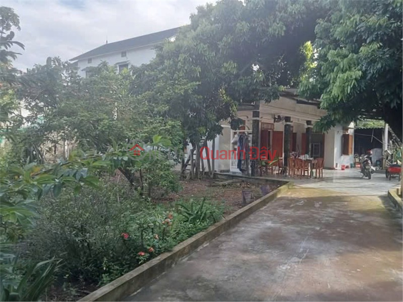ĐẤT ĐẸP – GIÁ TỐT – CHÍNH CHỦ CẦN BÁN ĐẤT TẠI TDP 2, Xã Lệ Ninh, Huyện Lệ Thủy, Tỉnh Quảng Bình Niêm yết bán