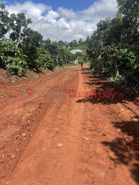 Nhanh tay khách đâu tư một lô siu rẻ ngợp -banhk tại trung tâm Liên Hà, xã Tân Hà siu rẻ Niêm yết bán