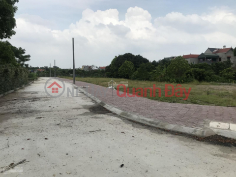 Land for sale at auction in Chuong Loc, Chuong Duong, Thuong Tin district, Hanoi. _0