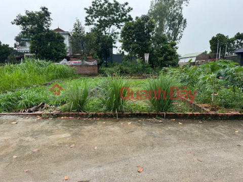 Đón Đầu Xu Hướng - Đất Nền Thạch Đà, Mê Linh - Vị Trí Trung Tâm, Giá Hấp Dẫn _0