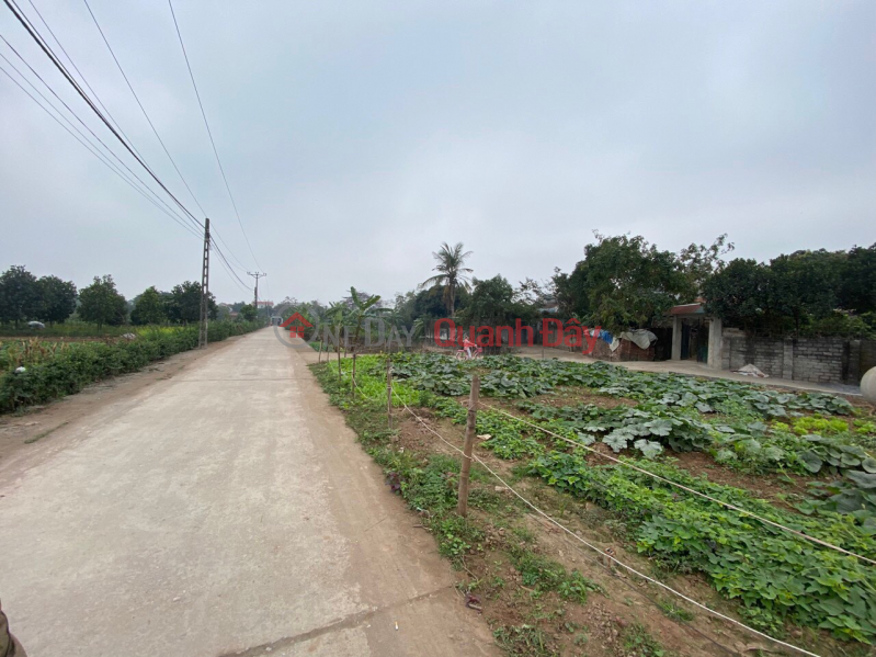 đ 1 Billion, PRICE 1 billion OWNING 39.2m LAND LOT BOUNDING HA DONG DISTRICT - Area 39.2m, actual road width 8m, facing East, very