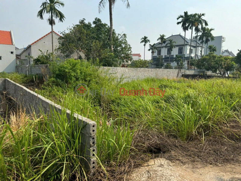 My family has 2 small plots of land that need to be sold urgently in Hong Van - Thuong Tin - Hanoi Vietnam Sales, đ 1.6 Billion