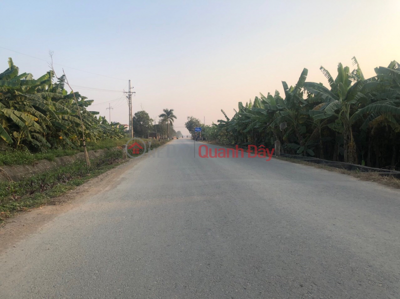 Property Search Vietnam | OneDay | Residential, Sales Listings | Rare earth in Trai Hien village - Hoang Dieu - Chuong My - Hanoi. Price is only 5xx million.