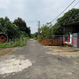 PROFITABLE INVESTMENT OPPORTUNITY - Owner Selling Land Plot in Toc Tien, Chau Pha, Ba Ria Vung Tau _0