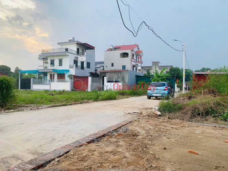 Property Search Vietnam | OneDay | Residential Sales Listings Beautiful land in Quang Minh, Me Linh. Near Tue Tinh Medical and Pharmaceutical College and industrial park.