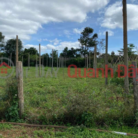 POTENTIAL, SUPER CHEAP LAND LOT FOR SALE IN TIEN SON AREA - SEA AND LAKE - PLIEKU _0