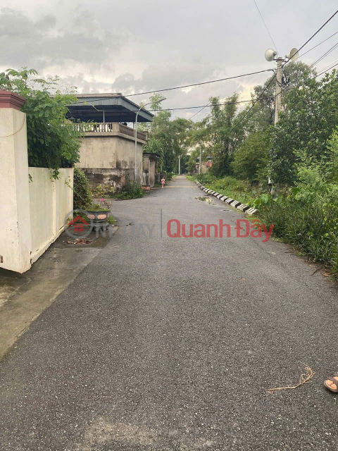 The only F0 in Trung Lieu village – Tien Ngoai commune, a unique masterpiece with no second batch. _0