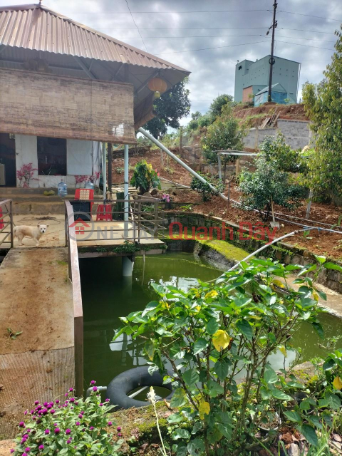 ĐẤT ĐẸP - GIÁ TỐT - Cần Bán Nhanh LÔ ĐẤT 2 Mặt Tiền Tại Xã Đại Lào, TP Bảo Lộc, Tỉnh Lâm Đồng _0
