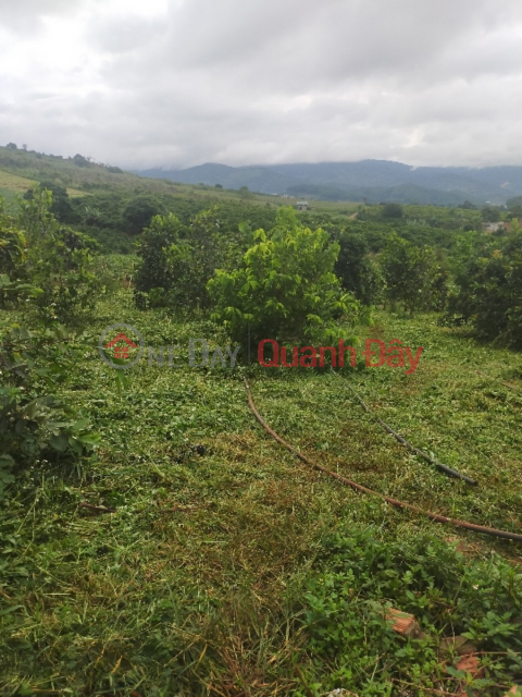 BEAUTIFUL LAND - GOOD PRICE - For Sale Land Lot Location Me Linh Commune, Lam Ha District, Lam Dong _0