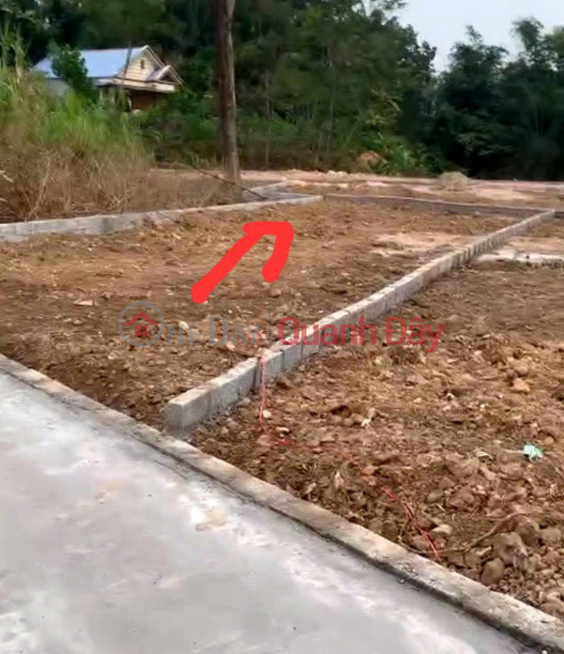 Property Search Vietnam | OneDay | Residential | Sales Listings | OWNER Needs to Sell 2 Adjacent Street-front Land Plots in Tan Thanh Ward, Thai Nguyen City.