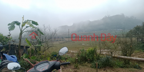 NEED TO PROMISE URGENTLY SELL SAPA LOT OF LAND SUPER CHEAP PRICE BEAUTIFUL LOCATION _0