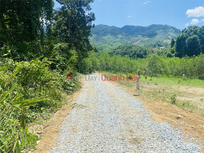 BEAUTIFUL LAND - GOOD PRICE - Land Lot For Sale In Khanh Thuong Commune, Khanh Vinh District, Khanh Hoa | Vietnam Sales đ 115 Million