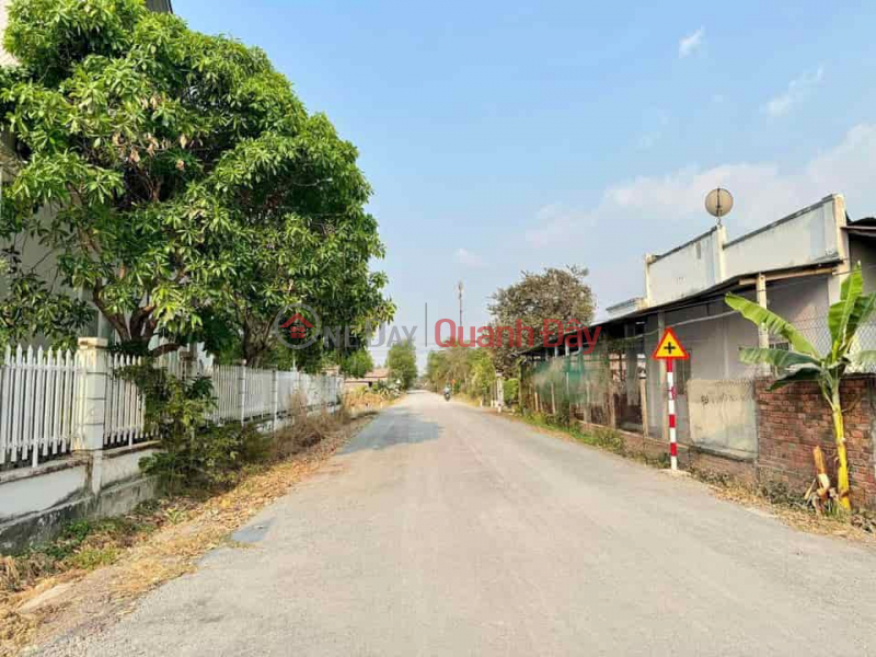 Chon Thanh Binh Phuoc business land cheap price 540 million/320m2 Sales Listings