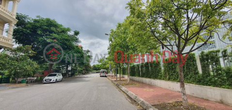 Selling a very beautiful Sao Do villa corner lot, right behind DEWAY international school _0