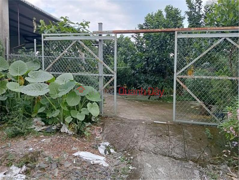 URGENT SALE OF Land By Owner - Preferential Price - Beautiful Location In Hamlet 2, Phu Lap Commune, Tan Phu District - Dong Nai Sales Listings