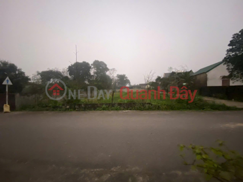 OWNER Needs to Sell 2 Beautiful Plots of Land on Giang Vien Linh Street and Tien Dien Town, Nghi Xuan District, Ha Tinh. _0