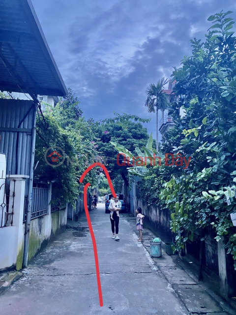 Owner needs money to quickly sell beautiful 90 square meter land plot in Dan Phuong, Hanoi _0