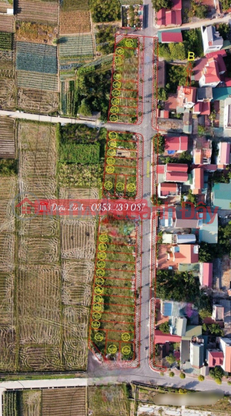 Property Search Vietnam | OneDay | Nhà ở Niêm yết bán, BÁN ĐẤT ĐẤU GIÁ X9 CÁN KHÊ, NGUYÊN KHÊ, ĐÔNG ANH GIÁ CHỈ 42.5TR/M