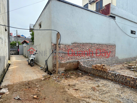 Selling 100m2 of land in Bach Da village, Kim Hoa, Me Linh. Near Kim Hoa urban area and Ring Road 4 _0