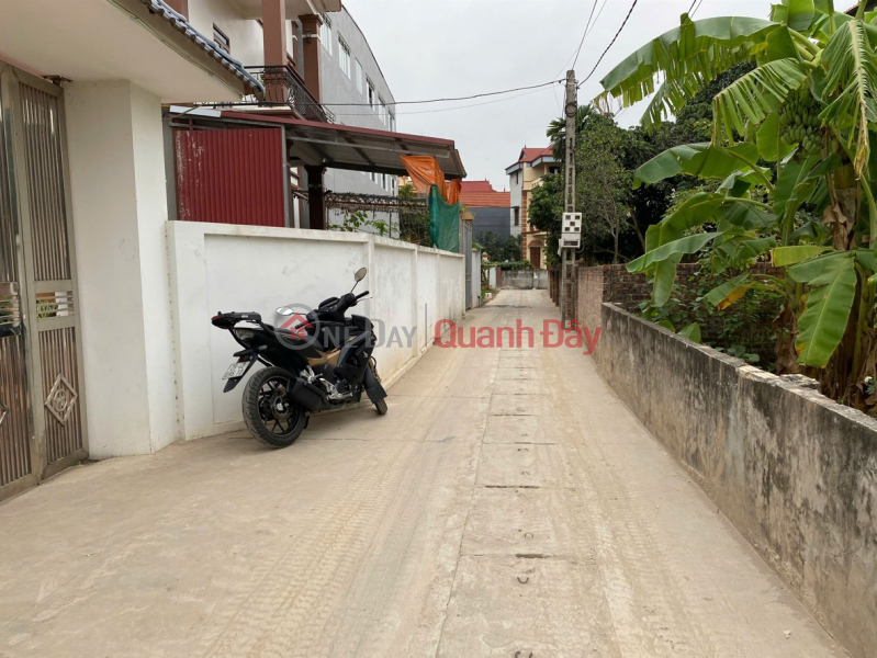 Property Search Vietnam | OneDay | Residential | Sales Listings, OWNER needs to sell a beautiful piece of land in Phu Huu village, Tien Thang commune, Hanoi