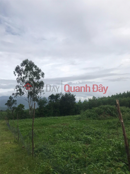 OWNER FAST SELLING LAND LOT WITH BEAUTIFUL LOCATION - GOOD PRICE In Cu KTy Commune, Krong Bong District, Dak Lak Sales Listings