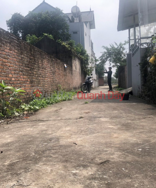 Property Search Vietnam | OneDay | Residential | Sales Listings | The owner needs to sell a 300m2 residential plot of land for more than 3 billion