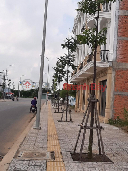 Property Search Vietnam | OneDay | Residential Sales Listings, Own a BEAUTIFUL LOT OF LAND - GOOD PRICE Adjacent to TICCO Nguyen Trong Dan Area, Go Cong City, Tien Giang