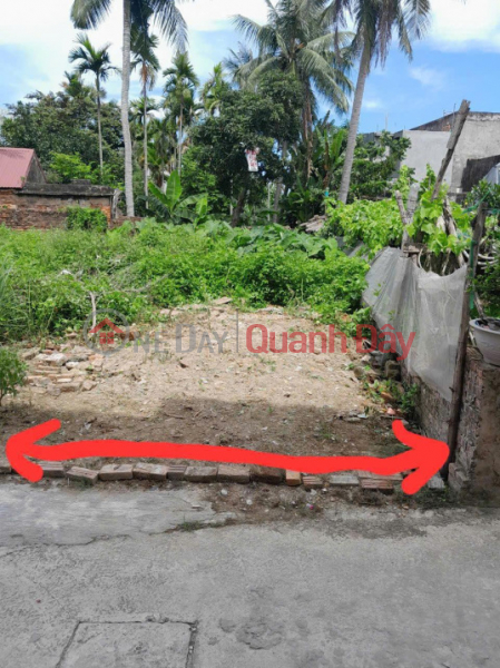 Need to sell 56m2 land plot, lane 54 Trang Cat, Hai An., Vietnam Sales | đ 1.05 Billion