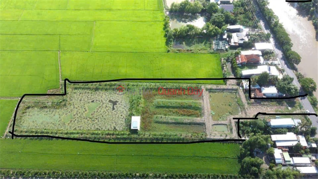 đ 8 tỷ ĐẤT ĐẸP - ĐẦU TƯ SINH LỜI - BÁN ĐẤT VƯỜN MẶT TIỀN TL941 – Cách Cao Tốc Châu Đốc – Trần Đề Chỉ 1km