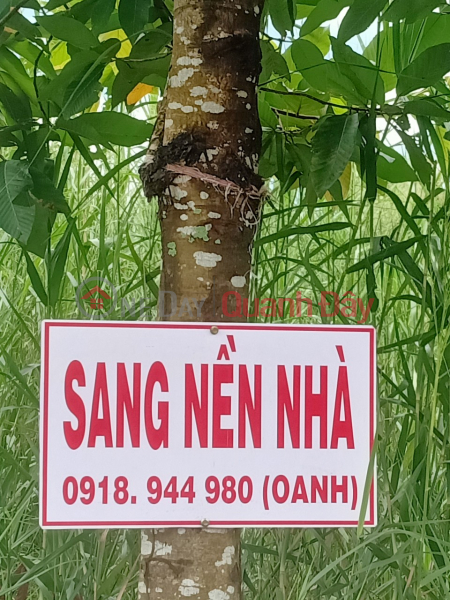Property Search Vietnam | OneDay | Residential, Sales Listings GENERAL FOR SALE QUICKLY Land Lot Good Location At Road 8, Sao Mai Nhut Hong Urban Area, Ward 8, Ca Mau