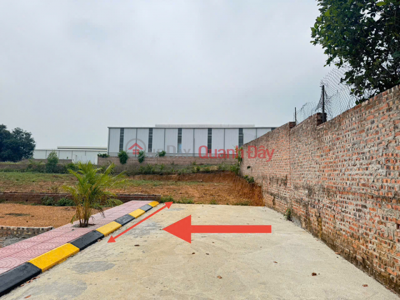 Urgent sale of 100m² land in Thai Lai, Minh Tri, Soc Son. Paved road, sidewalk, perfectly square. Sales Listings